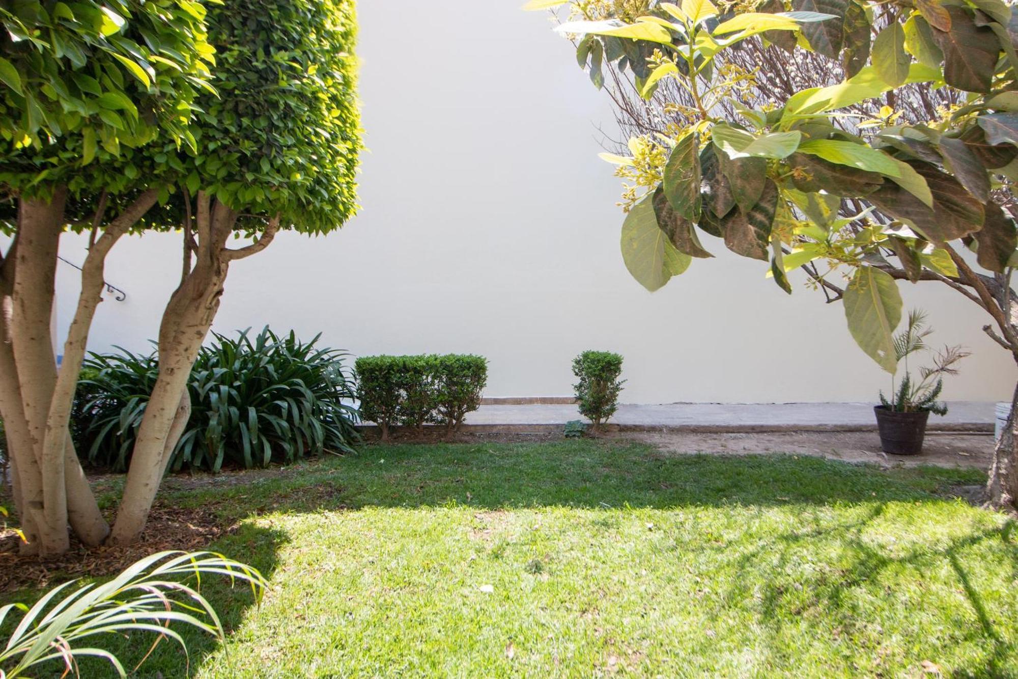 Hotel Capital O San Jose, San Luis Potosí Zewnętrze zdjęcie